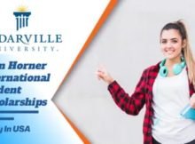 Joan Horner Scholarships 2022 at Cedarville University in USA