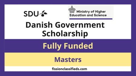 University of Southern Danish Government Scholarship for International Students