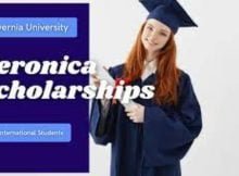 Veronica Scholarships 2022 at Alvernia University in USA
