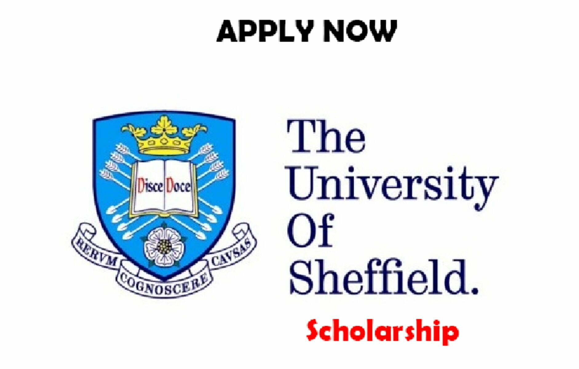 International LLM Scholarship 2022 at University of Sheffield
