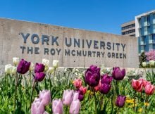 York University Science International Entrance Scholarship 2022 in Canada