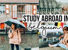 Elisabeth and Amelie Fund Scholarship 2022 for Students from Developing Countries Studying in Belgium