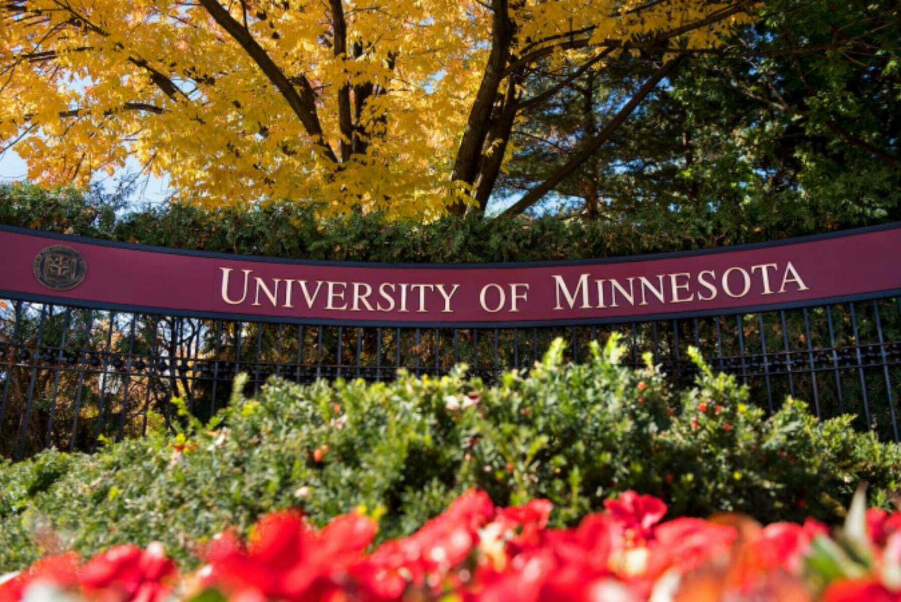 International Student Scholarships 2022 at University of Minnesota