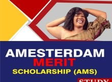 Amsterdam Merit Scholarship (AMS) 2023 Application