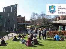 Sanctuary International Visitors Support Scheme 2023 at the University of Sheffield in UK
