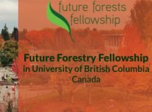 University Of British Columbia 2023 Future Forests Fellowship in Canada