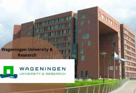Wageningen University & Research 2023 Africa Scholarship Programme (ASP) for young African Students