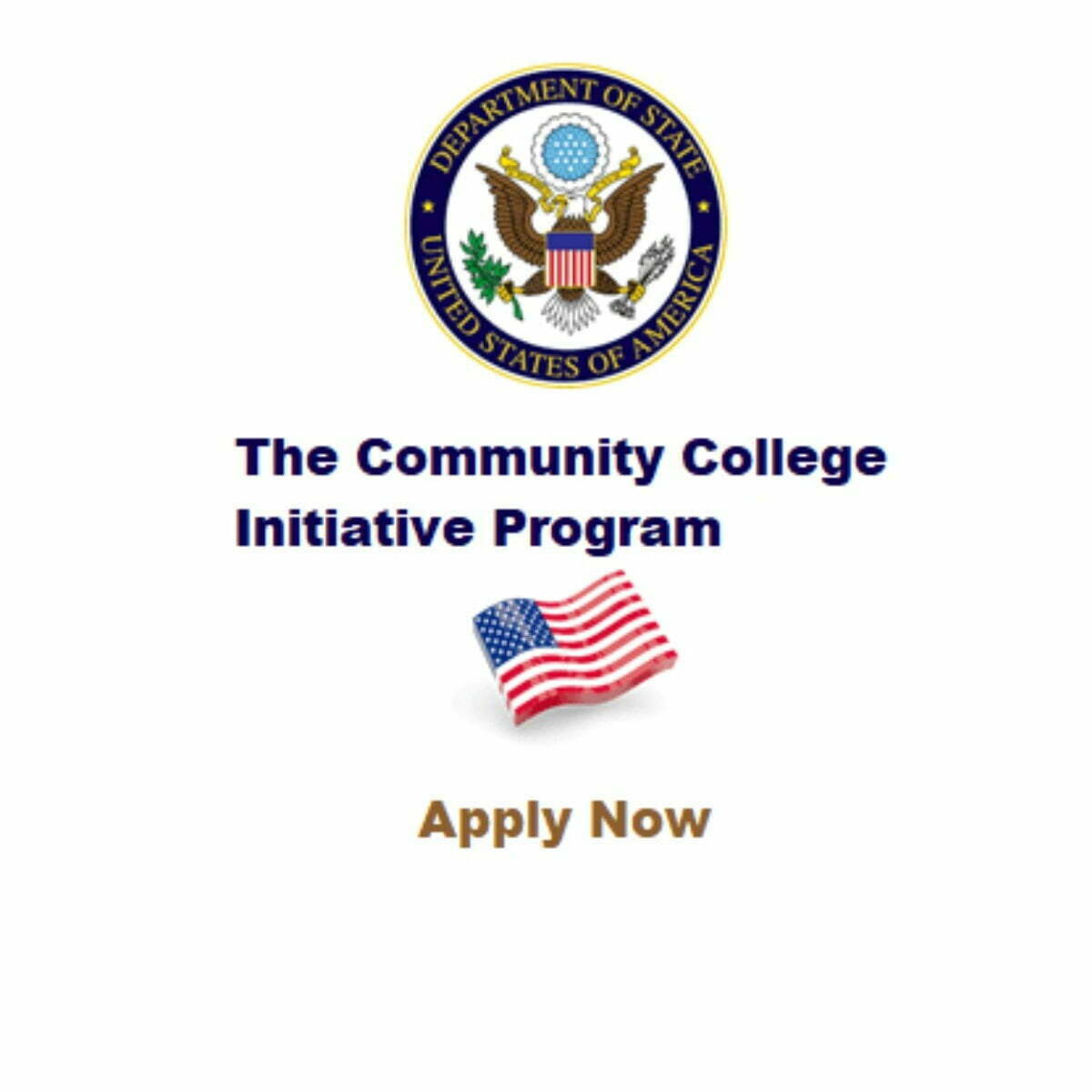 2023 US Embassy Community College Initiative Program