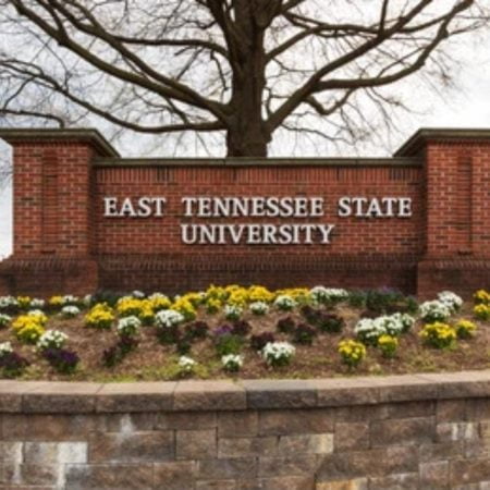 East Tennessee State University International Merit Scholarship