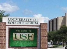 International Student Scholarships 2023 at the University of South Florida