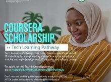 The NITDA/Coursera Digital capacity building Scholarships 2023