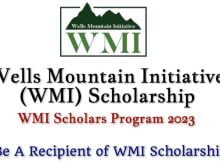 Wells Mountain Education Scholarship Program 2023 In Developing Countries