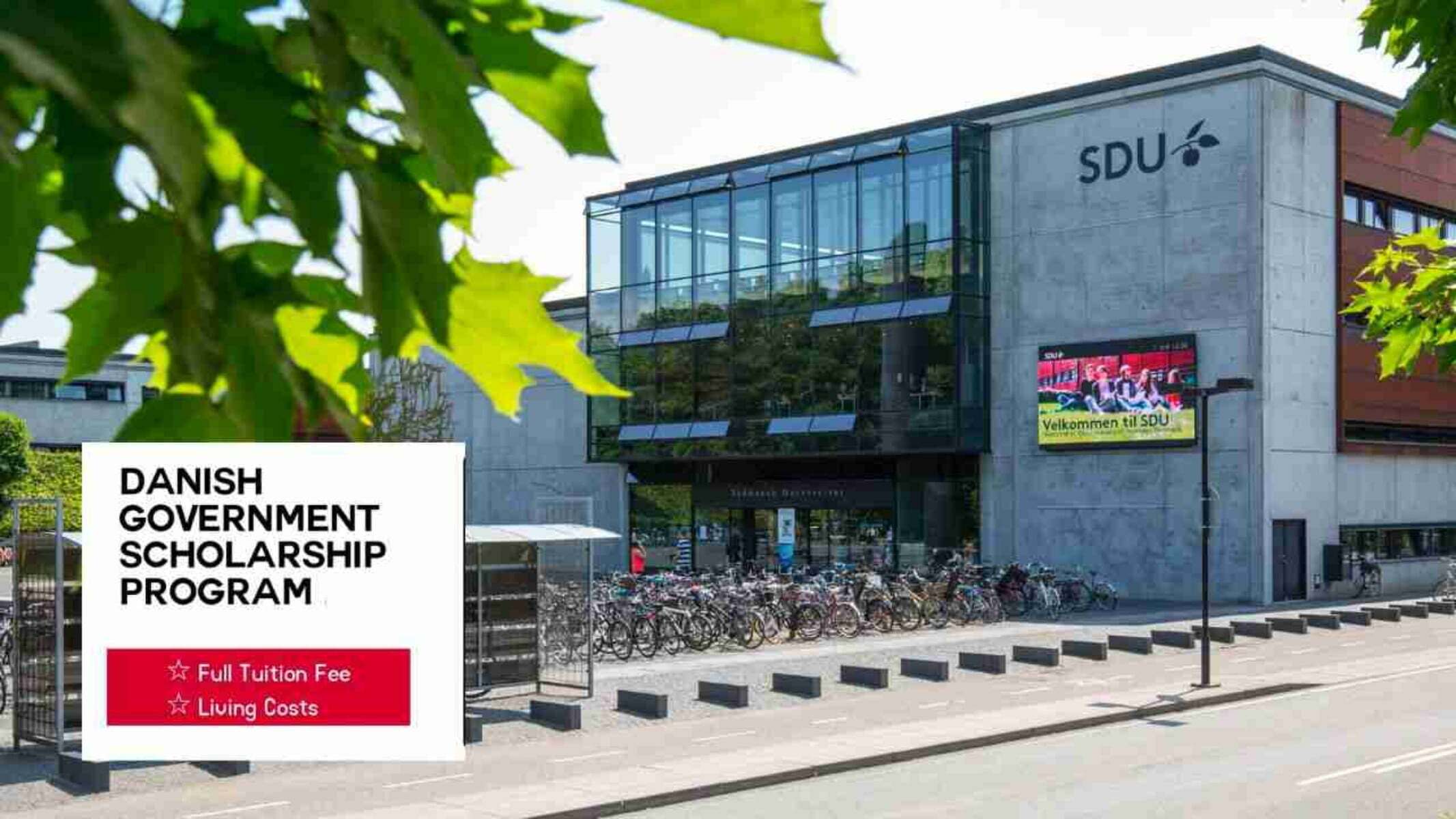 Danish Government Engineering Scholarship 2023 at University of Southern Denmark