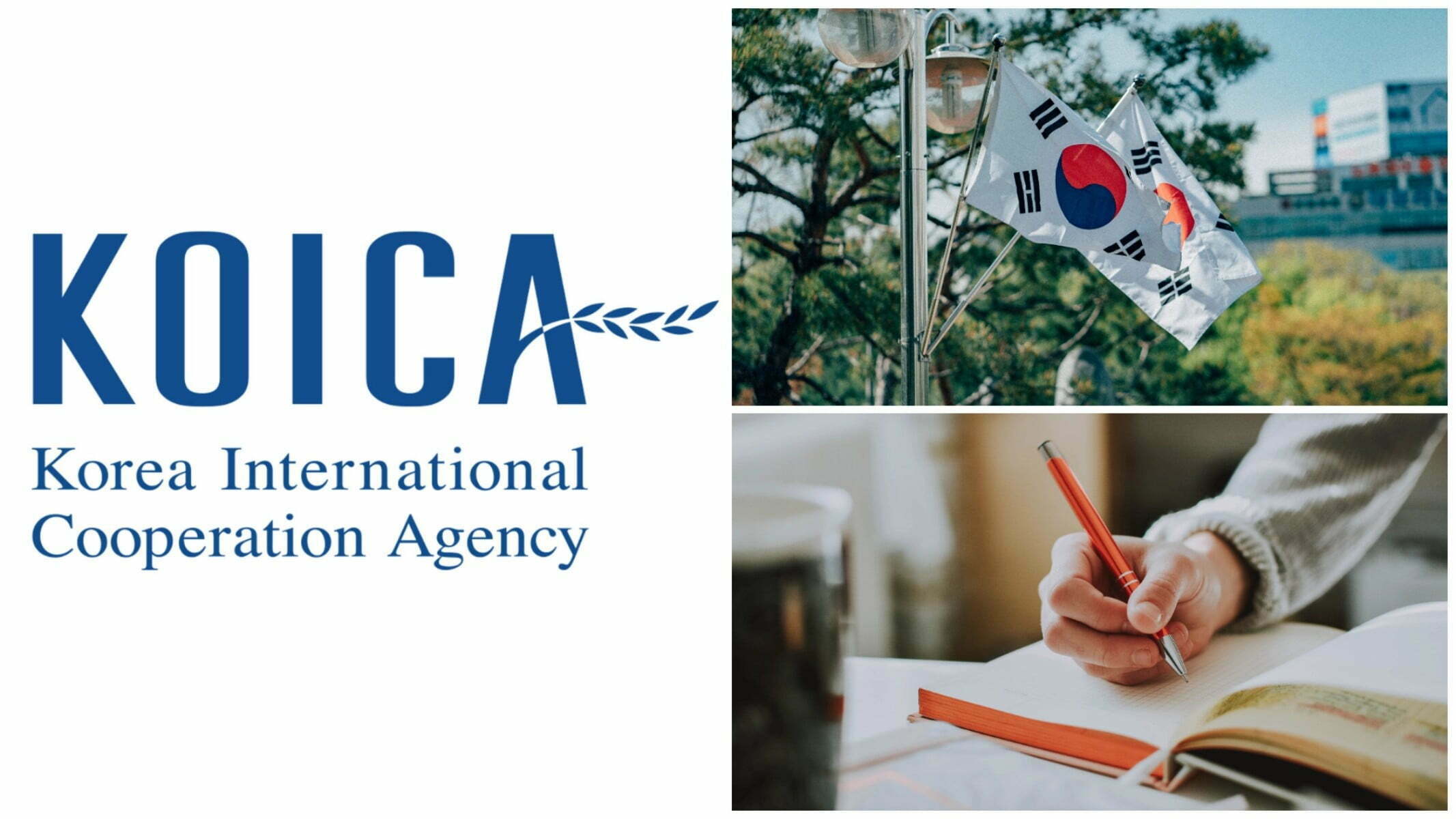 Fully Funded KOICA Scholarship 2023 for Developing Countries