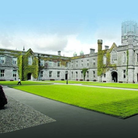 Organ Bioprinting Scholarships 2023 at the University of Galway in Ireland