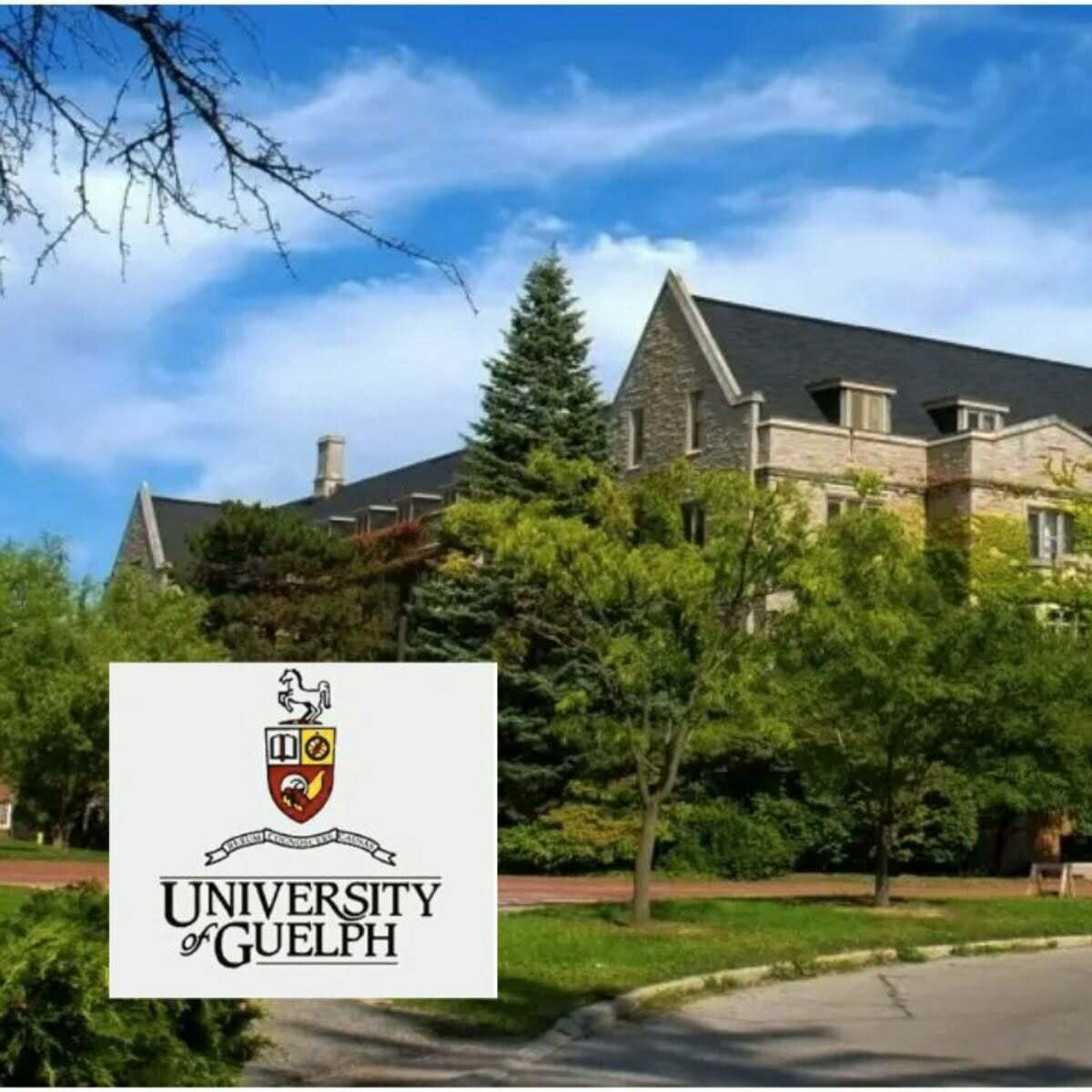 Arrell Food Institute Scholarships 2023 at University of Guelph