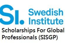 SI Scholarship 2023 at Swedish Institute for Global Professionals