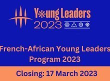 The French-African Foundation Young Leaders Program 2023