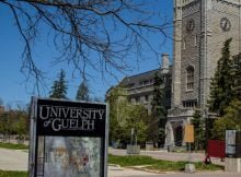 F.L. McEwen Scholarship 2023 at University of Guelph