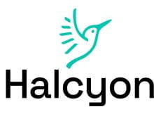 Halcyon Food & Agtech in Africa Intensive Fellowship 2023 for Entrepreneurs
