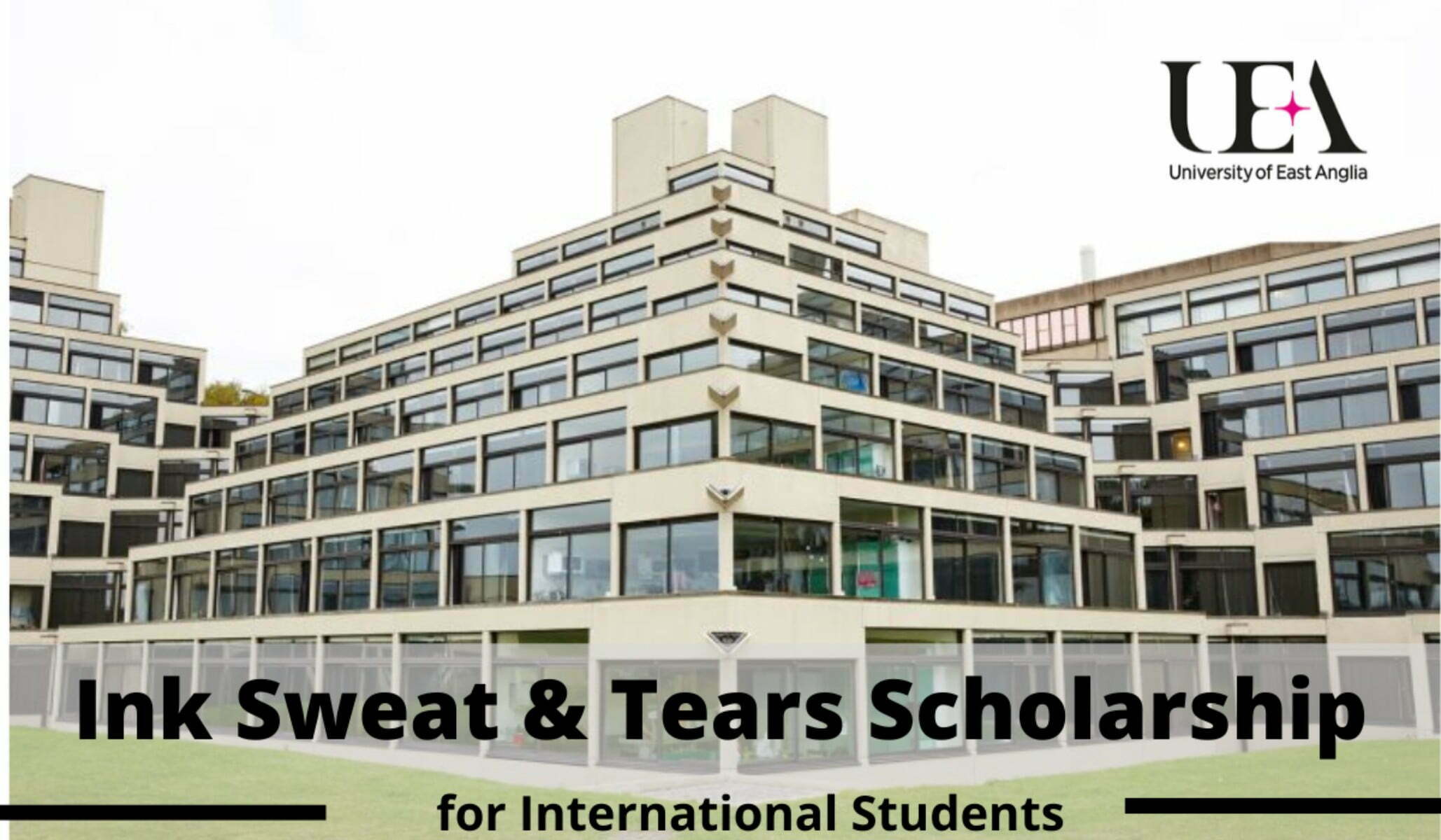 Ink Sweat & Tears International Scholarships 2023 at University of East Anglia in UK