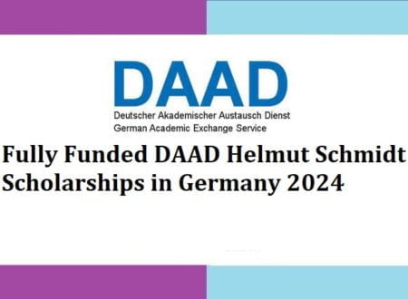 Fully Funded DAAD Helmut-Schmidt Scholarships 2024 in Germany