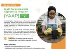 IFAD Agrihub Nigeria Youth Agripreneurship Apprenticeship Program (YAAP) 2023