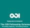 Overseas Development Institute (ODI) Fellowship Scheme 2023
