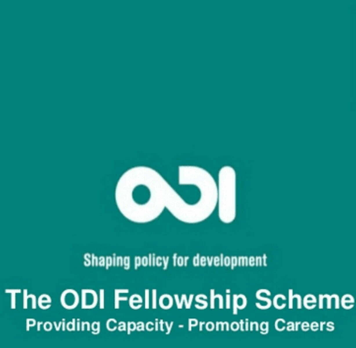 Overseas Development Institute (ODI) Fellowship Scheme 2023