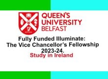 Vice Chancellor’s Illuminate Fellowship 2023 at Queen’s University Belfast