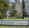International Business Scholarship 2023 at University of Auckland in New Zealand