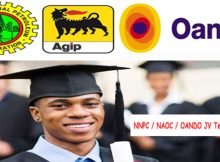 NNPC/NAOC/OANDO JV Tertiary Scholarship 2023 for Nigerian Students