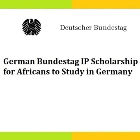 German Bundestag IP Scholarship 2023 in Germany for Africans