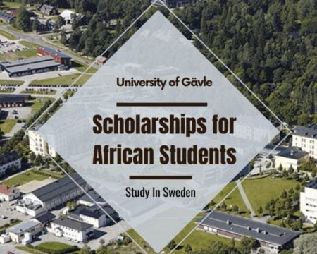 African Students Scholarship 2023 in International Social Work at University of Gävle