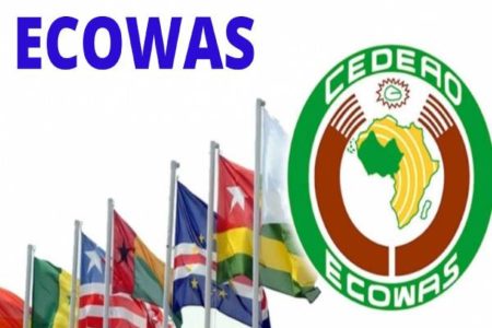ECOWAS Immersion Program 2024 for Young Africans
