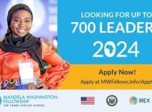Fully Funded YALI Mandela Washington Fellowship 2024 in USA