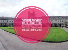 University College Cork Scholarships 2023 for Students from Developing Countries