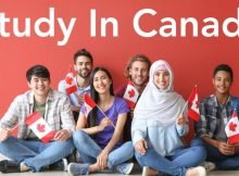 Top 50 Universities and Scholarships 2024 in Canada