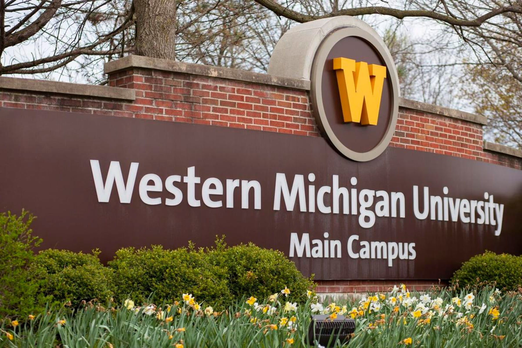 Global Education Merit Scholarship 2024 at Western Michigan University