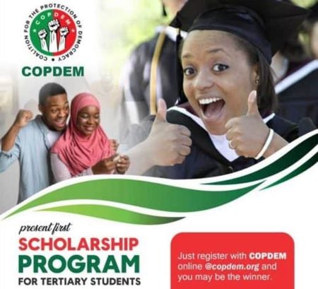 Coalition for the Protection of Democracy (COPDEM) Scholarships 2024