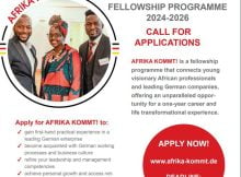 AFRIKA KOMMT Fellowship Program 2024 for Young Professionals