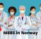 MBBS In Norway: Entry Requirements, Free Tuition, Scholarships
