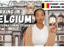 Study and Work Opportunities in Belgium for International Students