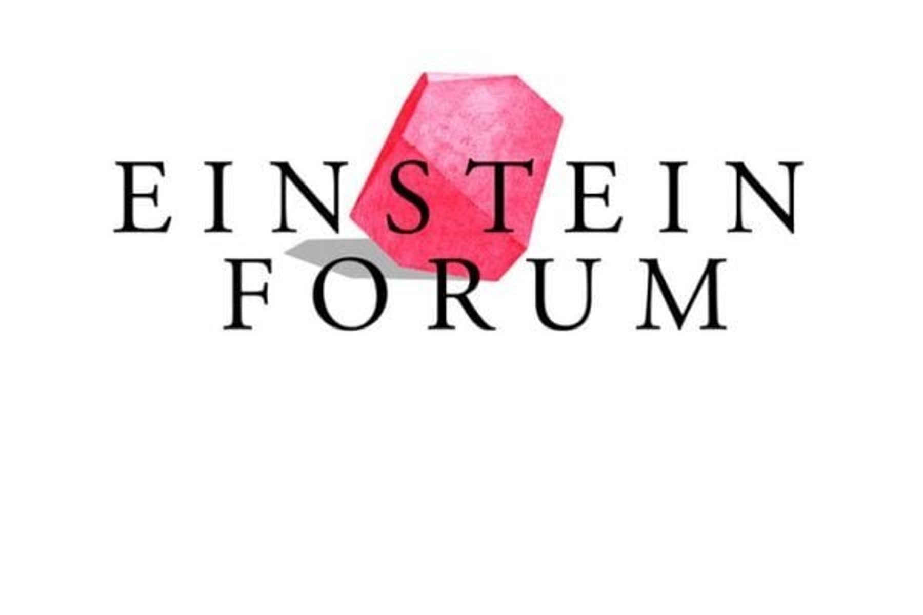 Einstein Forum and Wittenstein Foundation Fellowship 2024