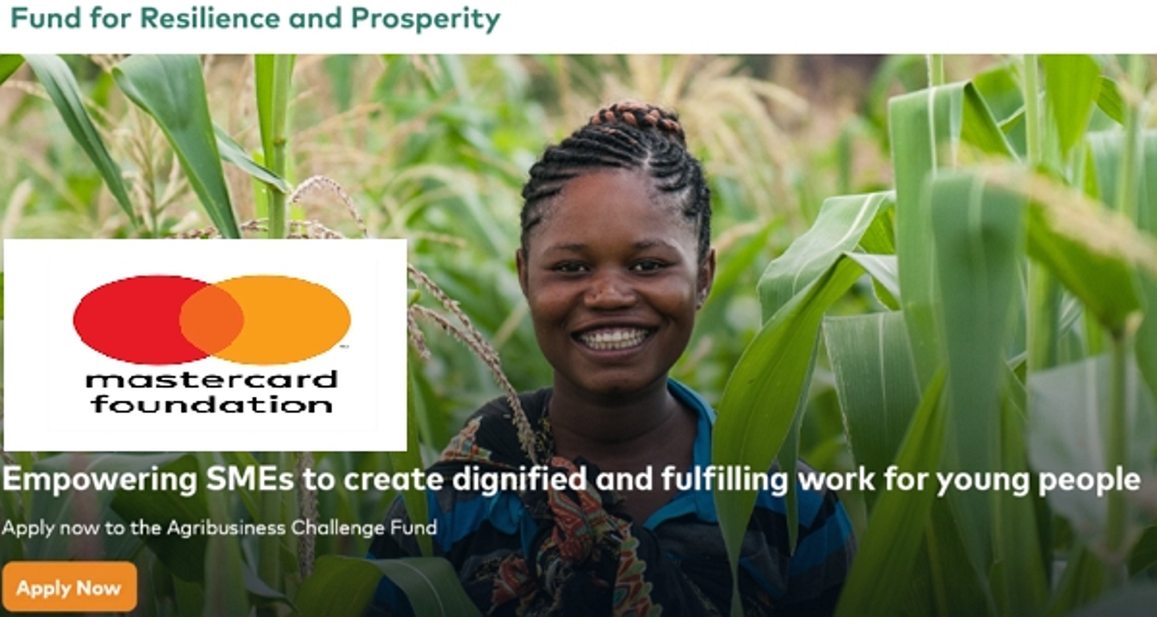 Mastercard Foundation Fund 2024 for Resilience and Prosperity Program