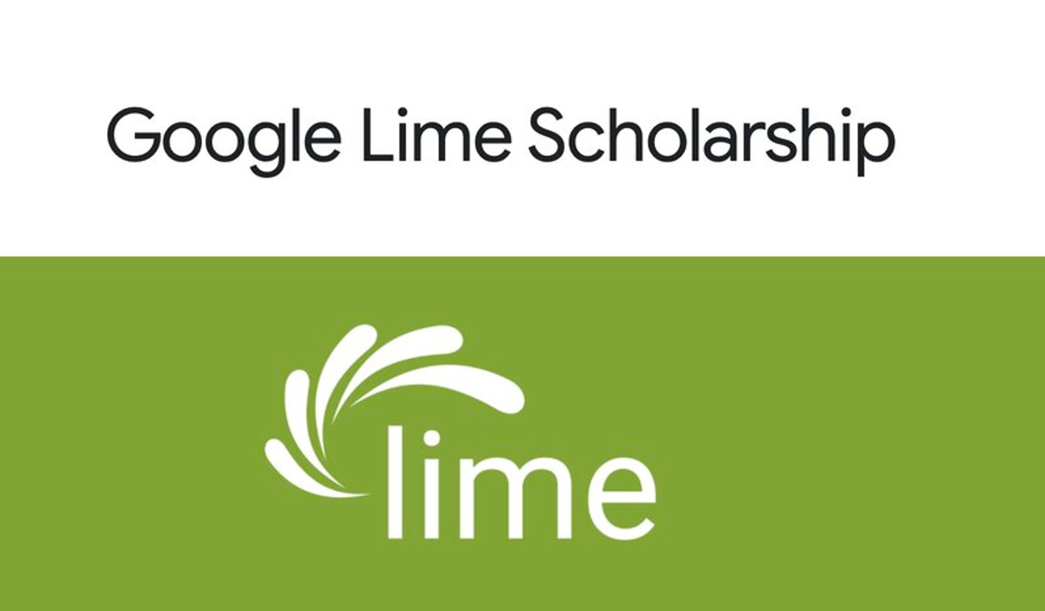 Google Lime Scholarship 2024 for Students with Disabilities