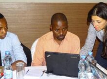 WHO/Science Road Safety Reporting Training 2024