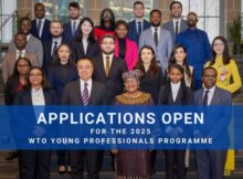 UN Young Professionals Program 2025
