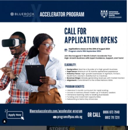Bluerock Accelerator Program 2024 for Entrepreneurs