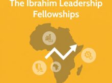Mo Ibrahim Leadership Fellowship 2027 for African Professionals